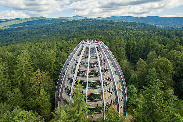 Baumwipfelpfad Bayerischer Wald